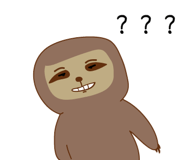 378137081