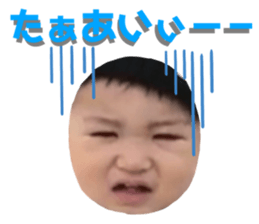 378155092