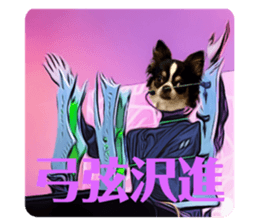 378162957