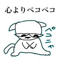 378223561