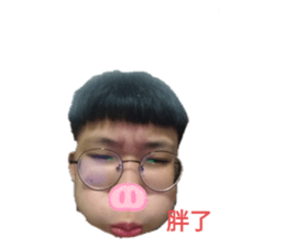378236836