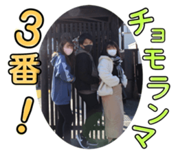 378247303