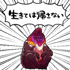 378293223
