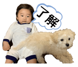 378310104