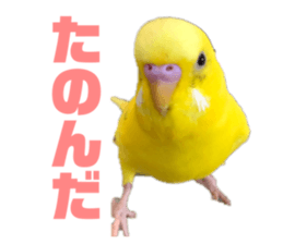 378323481