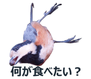 378352383