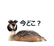 378352388