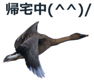 378352389