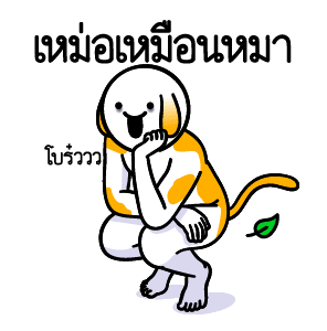 ลายที่ 24