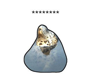 378407618