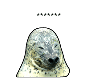 378407620