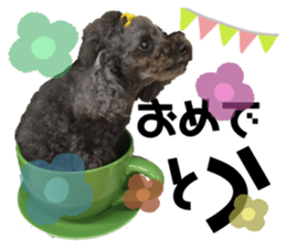 378453498