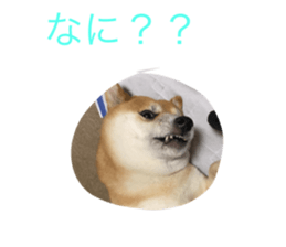 378464057