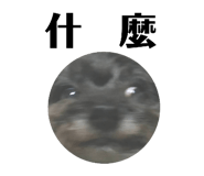 378471252