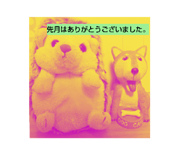 378695041