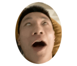 378772281