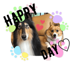 378795727