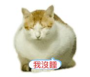 378830942