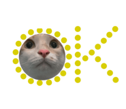 378830954