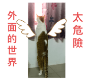 378830955