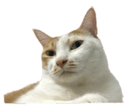 378830969