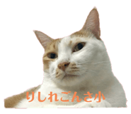 378830971