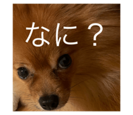 378837504