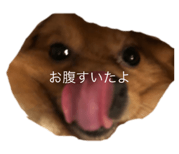 378837507