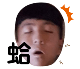 378848515