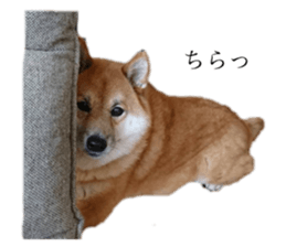 378876685