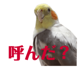 378884437