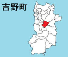 378888674