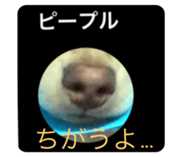 378972214