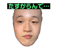 378976493