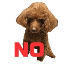 379053349