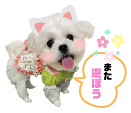 379073739