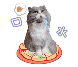 379093515
