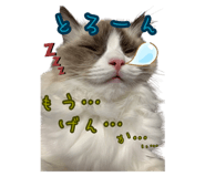 379098394