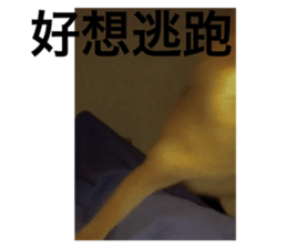 379099288