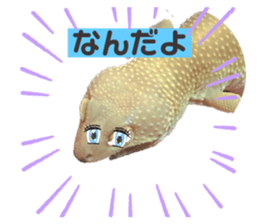 379117298