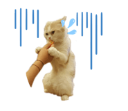 379121956