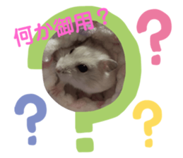 379143607