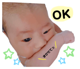379146251