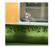 379159762