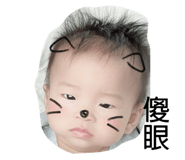 379162136