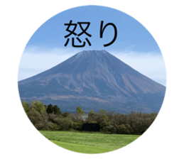 379262217