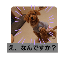 379331181