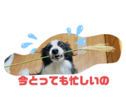 379362205