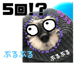 379381335