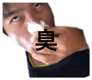 379405569